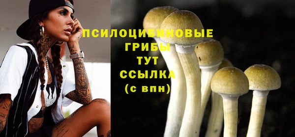 гашик Алексеевка