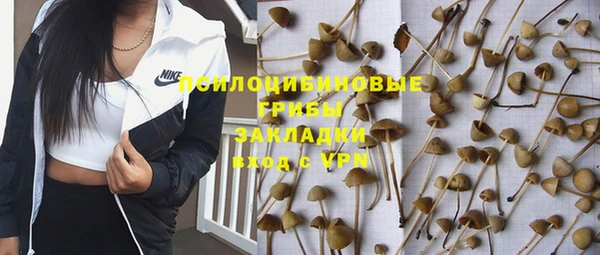 гашик Алексеевка