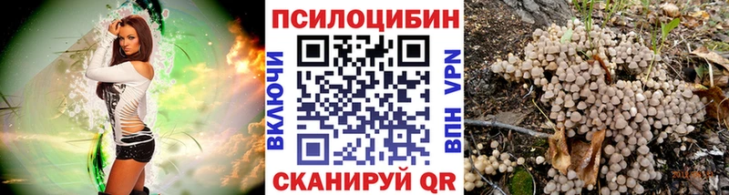 Галлюциногенные грибы Magic Shrooms  сайты даркнета Telegram  Спас-Деменск 