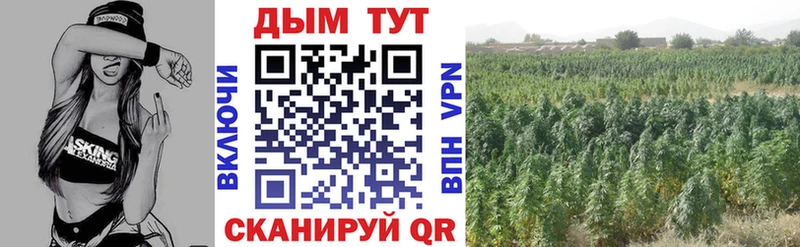 МЕГА ссылки  Спас-Деменск  Канабис VHQ  цены  